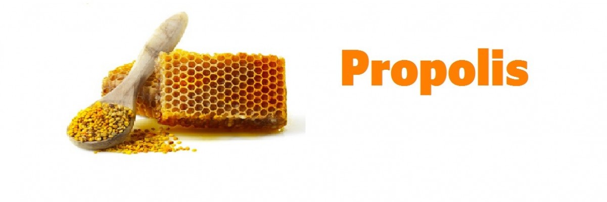 Nedir Bu Propolis? 