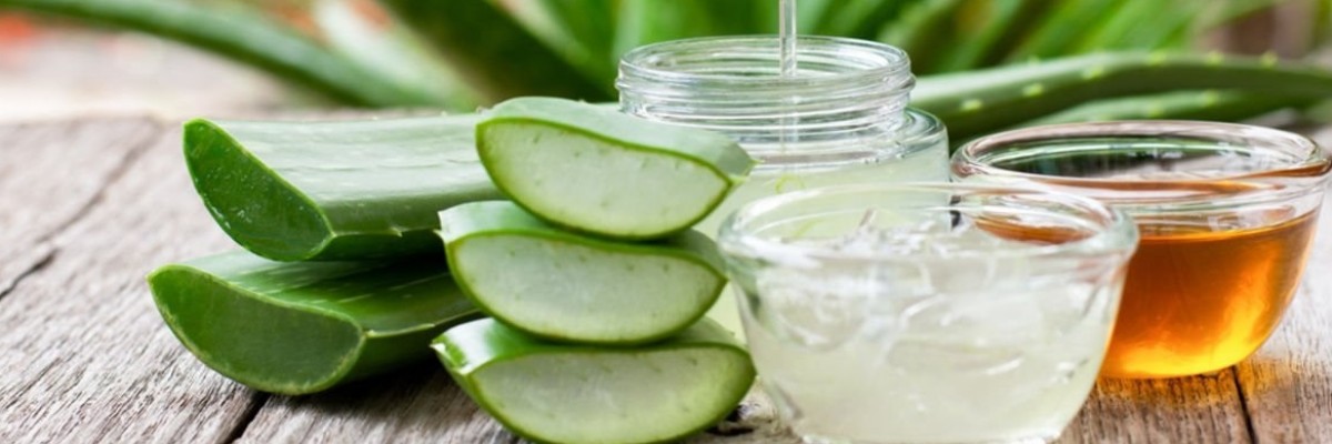 Bitkiden Gelen Şifa: Aloe Vera